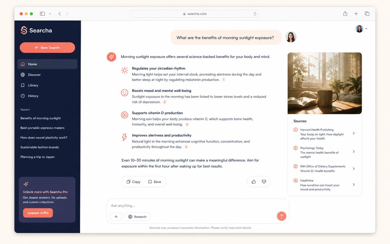 Conversational AI search interface with cited sources